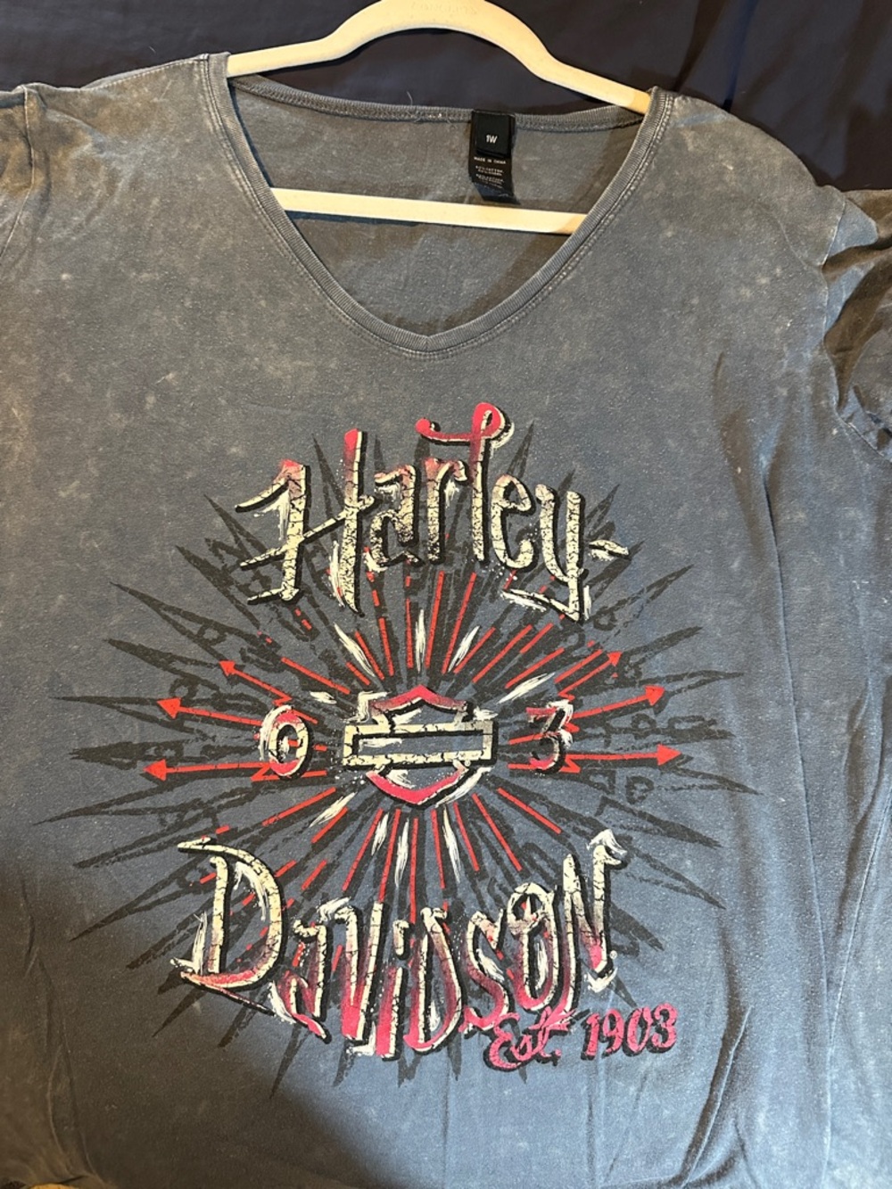 Harley-Davidson Gray Tee with Red and Black Graphic